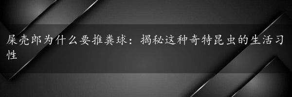 屎壳郎为什么要推粪球：揭秘这种奇特昆虫的生活习性