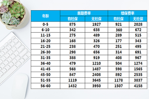 中国人寿养老保险：产品种类与选择指南