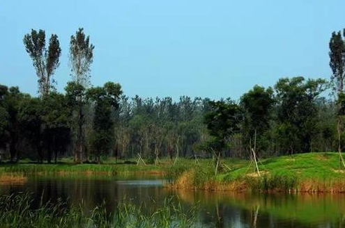 汉石桥湿地公园：北京的自然宝藏，探索生态之旅的理想之地