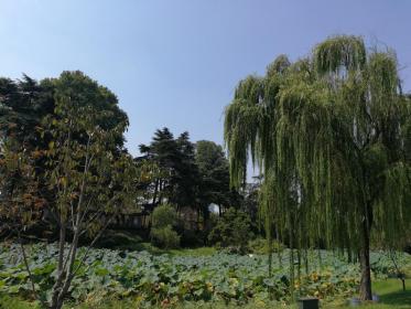 南京水上乐园：与玄武湖翠洲邂逅的清凉之旅