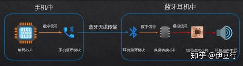 quik是什么软件：从下载到制作的详细指南