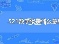 520的意思：从自然数到情感的独特表达