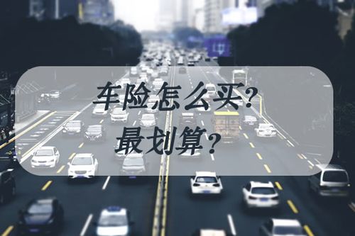 机动车损失险：你是否需要为爱车购买这份保障？