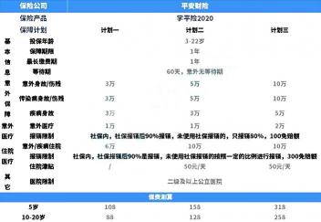 哪些保险公司有学平险：实惠与实用的投保指南