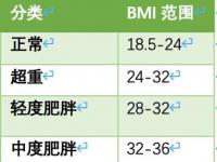 BMI是什么意思：了解身体质量指数与健康的关系