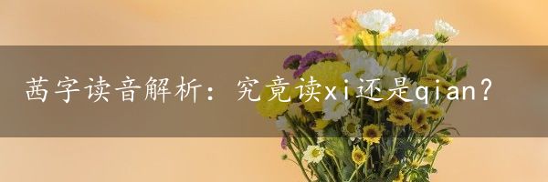 茜字读音解析：究竟读xi还是qian？