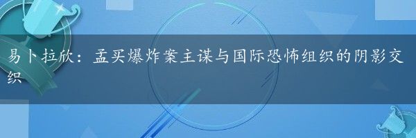 易卜拉欣：孟买爆炸案主谋与国际恐怖组织的阴影交织