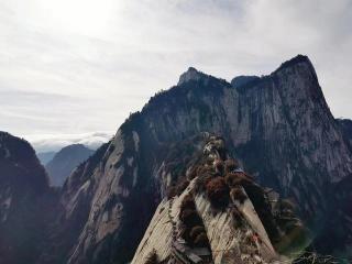 西岳指的是：华山——五岳之巅，华夏文明的璀璨瑰宝