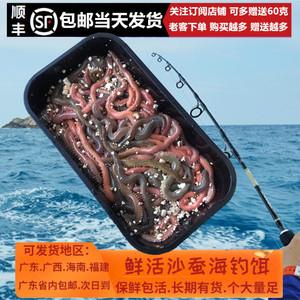 海蜈蚣：海洋生物的神秘钓饵