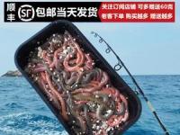 海蜈蚣：海洋生物的神秘钓饵