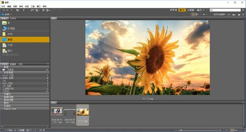 Adobe Bridge：创意工作者的全能助手