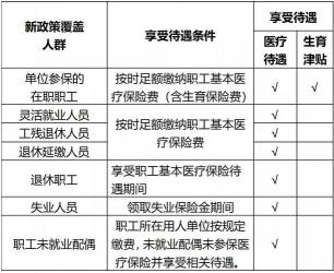 个人如何缴纳生育保险：企业缴费与灵活就业社保选择指南