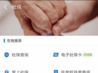 支付宝怎么交社保？详细步骤解析，让你轻松搞定基本养老保险与商业养老险