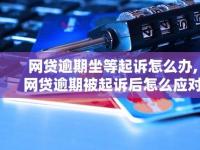 网贷逾期怎么办？教你正确处理逾期问题，保护个人信用与资产安全！