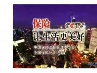 人寿恋爱保险：查询与购买指南，让爱情更有保障