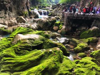 贵州荔波大小七孔：天神峡谷与天生桥的神秘之旅