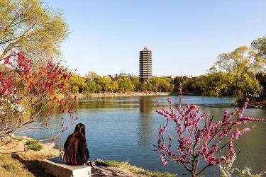 博雅塔：北京大学未名湖畔的建筑艺术瑰宝