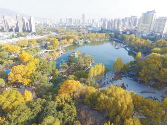 大宁绿地：浦西最大的公共绿地，自然与都市的完美融合