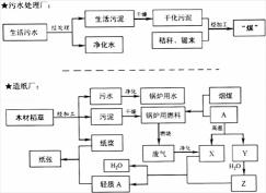 EVA揭秘：一种多功能环保材料的全面解析