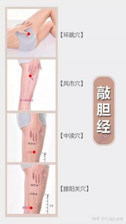 轻松瘦腿大揭秘：宅家瘦腿法、经期后燃脂黄金周、美体乳按摩助力，让你快速拥有迷人美腿