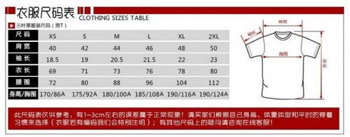 XL尺码详解：适合人群与尺寸指南