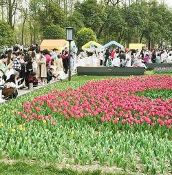 长沙植物园门票免费预约，欣赏郁金香盛宴的绿色明珠之旅