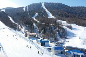 亚布力滑雪场：国内最大的滑雪胜地，设施完善，雪质完美