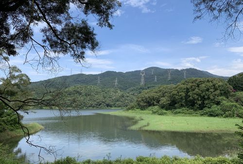 探秘海沧天竺山森林公园：绿意盎然、湖光山色间的自然之旅