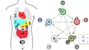 中医常识：气血运行与身体健康的关系