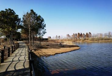 东滩湿地公园：自然宁静之地，观鸟赏日出的绝佳场所