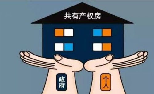 自有住房：产权与用途的解析