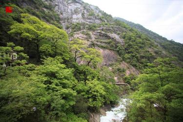 福州北峰卧龙谷：深山中的休闲胜地，拥有最大滑草场