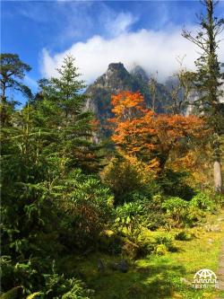 燕子沟风景区：探访贡嘎山东麓的自然与文化瑰宝