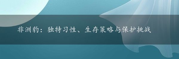 非洲豹：独特习性、生存策略与保护挑战