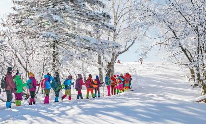 大雪谷：深度体验东北雪景与民俗文化的宝藏之地