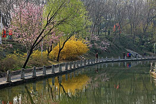 桃花坞公园：淮安市区东北部的休闲娱乐与观赏游览胜地