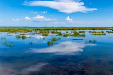 若尔盖花湖：迷人的天然海子和高原湿地生物多样性保护区