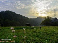 田园牧歌景区：三清山东面的乡村旅游天堂