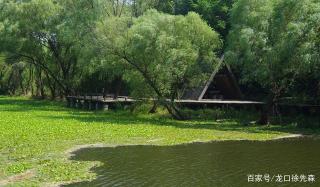 凤凰岛生态旅游区：扬州的自然生态绿洲