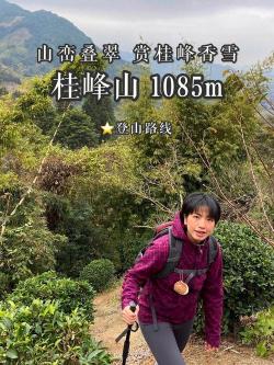 桂峰山：登山、避暑胜地，探索自然生态环境之幽雅！