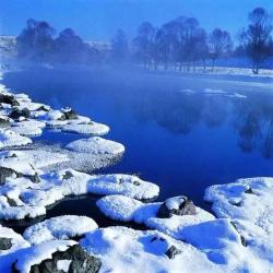 九龙峡探秘：九龙戏水、白茶王与冰雪奇景的完美结合