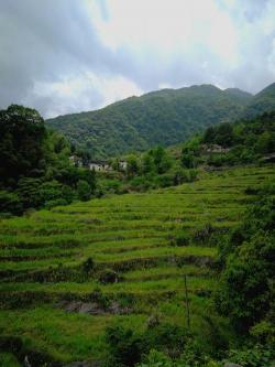 牯牛降：华东第三高峰，中亚热带森林生态保护区