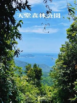 亚龙湾热带天堂森林公园：热带风情、山海景观与丰富活动的理想融合