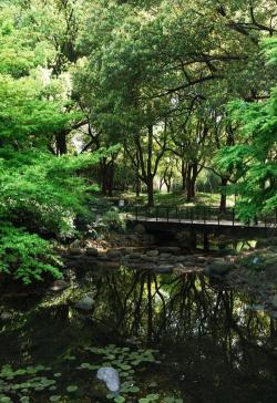 黄浦公园：历史的印迹与今日的绿色憩息地