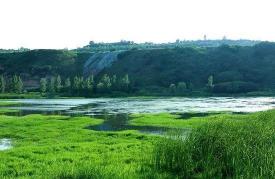 雁鸣湖景区：中原水乡的生态天堂和美食盛宴