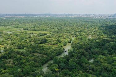 西溪国家湿地公园：城市中的自然宝藏