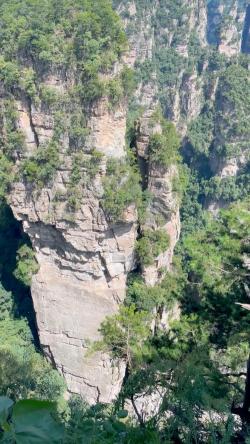 袁家界景区：感受《阿凡达》悬浮山的魅力与迷人的自然奇观