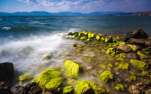 抚仙湖：全国第二深淡水湖，游泳爱好者的天堂